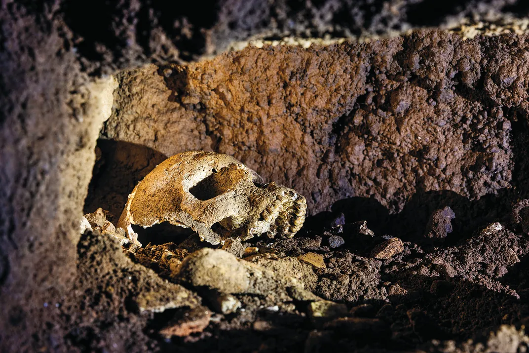 A human skull