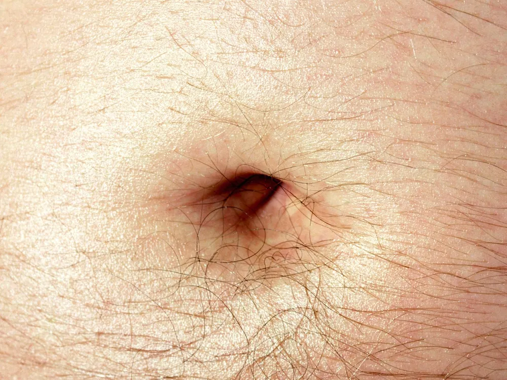 Bellybutton