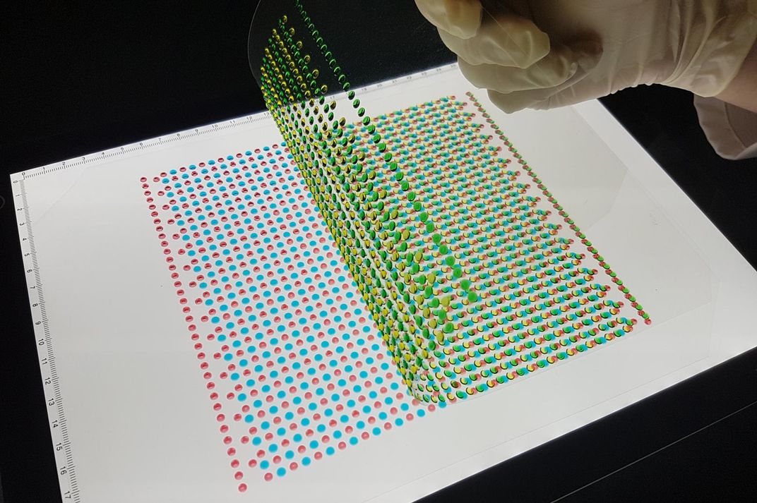 Electric Eels Inspire a New Type of Battery 