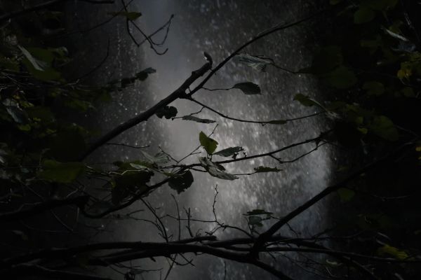 Trees and autumn leaves in front of waterfall thumbnail