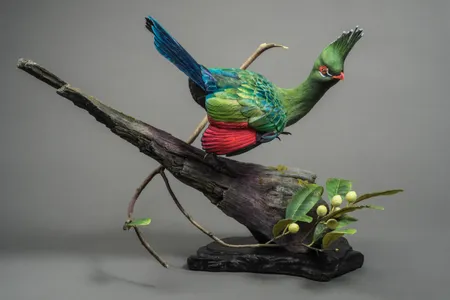 Last year's winner in the World Championship 
Wildfowl Carving Competition's Decorative Lifesize Wildfowl category, "Livingstone's Turaco" by Thomas Horn.
