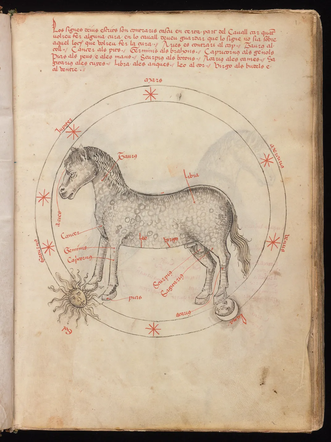 Zodiac horse diagram in Manuel Díes' late 15th-century Libre de cavalls