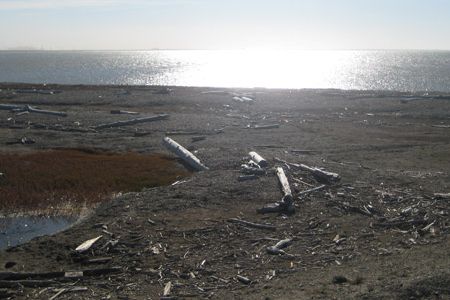 On the drive from Toolik, a view of the ocean and sun in the early morning hours