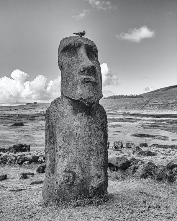 Moai and bird thumbnail