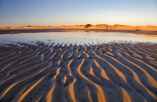 Sand Ripples and Dunes at Cape Henlopen thumbnail