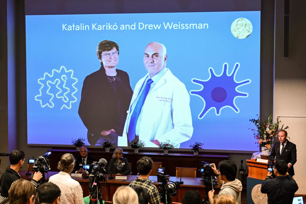 A screen with a picture of the Nobel laureates behind a panel making the announcement