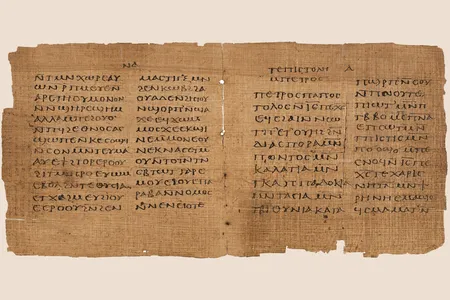 The&nbsp;Crosby-Sch&oslash;yen Codex is part of the Sch&oslash;yen collection, one of the largest private manuscript collections in the world.