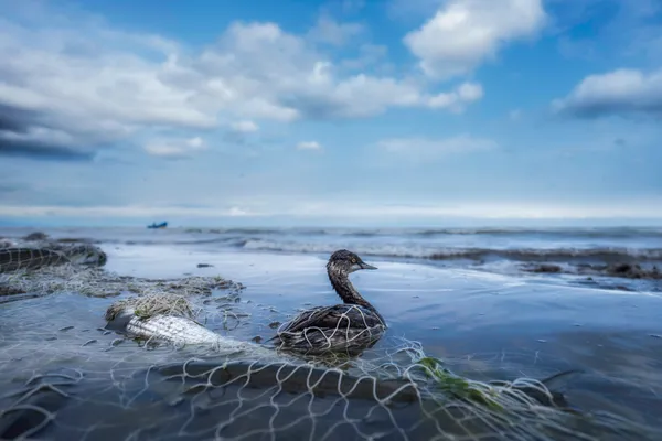 End of earth thumbnail