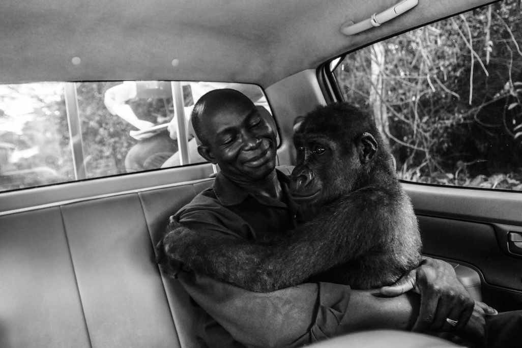 WINNER © Jo-Anne McArthur - Wildlife Photographer of the Year (1).jpg