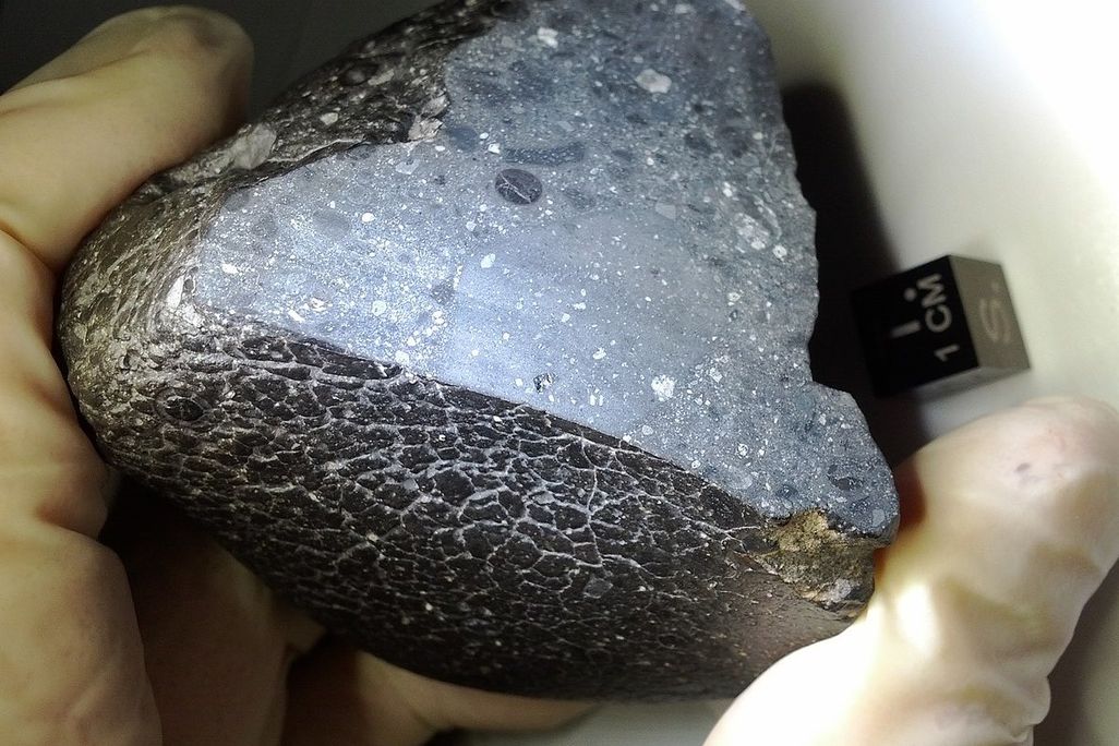 An image of the space meteorite NWA 7034. It looks like a truffle.