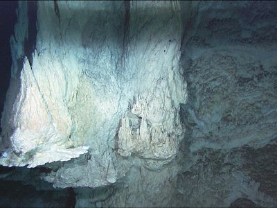 The Lost City hydrothermal field in the mid-Atlantic.
