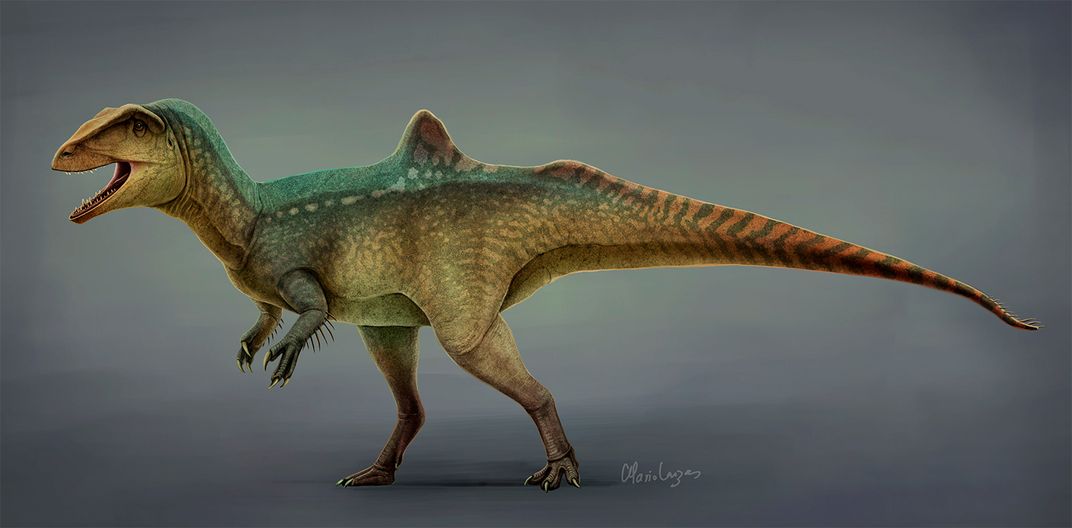 Dinosaurs Evolved Feathers For Far More Than Flight