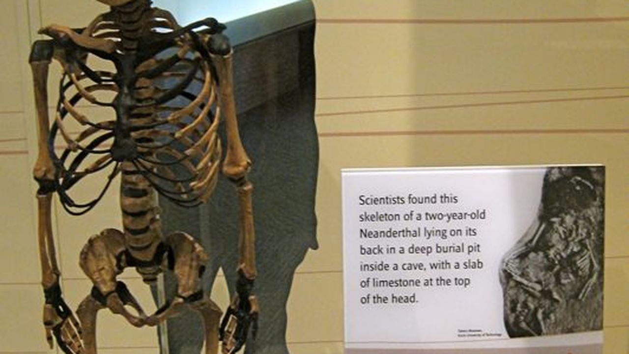 Humans And Neanderthals Interbred Science Smithsonian