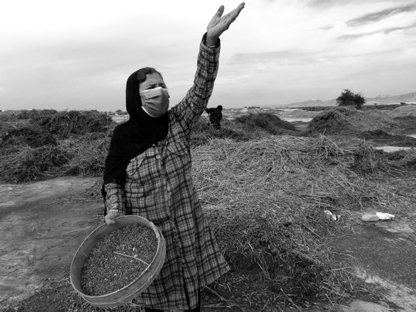 Women in Agriculture thumbnail