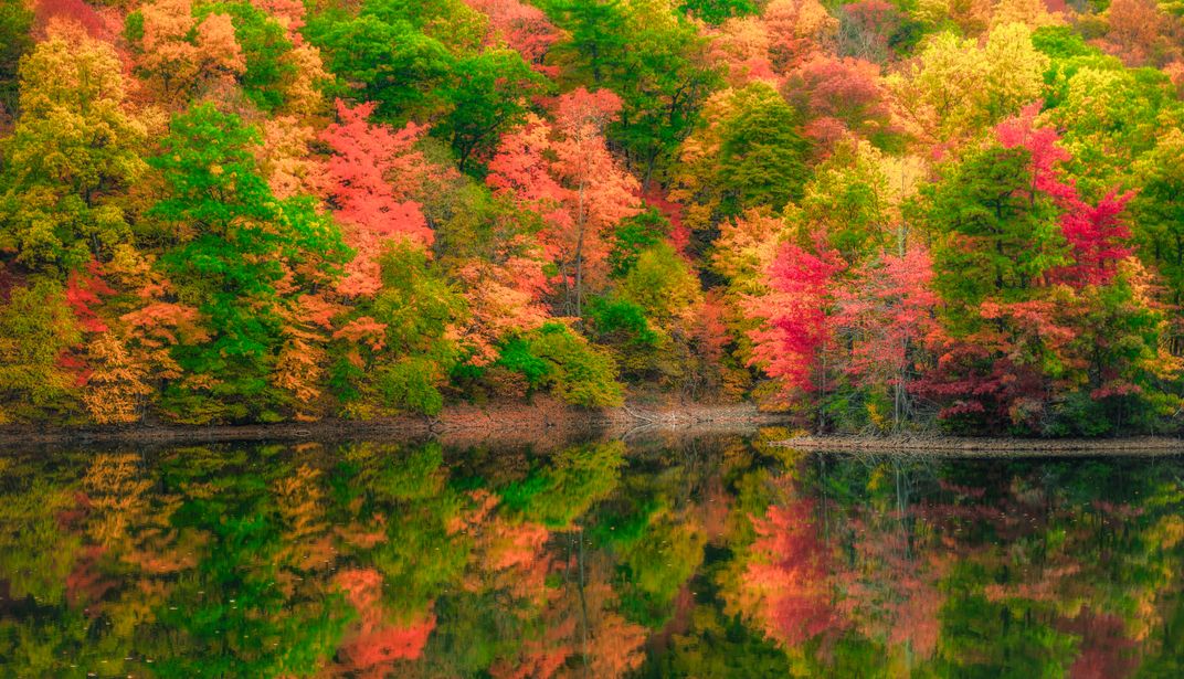 Colors of Fall | Smithsonian Photo Contest | Smithsonian Magazine
