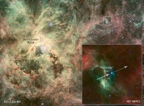 runaway star-cropped-505.jpg
