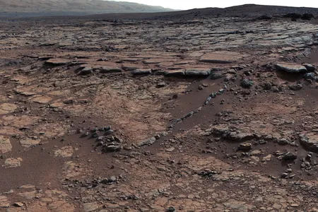The Sheepbed mudstone, an ancient habitable lake in Gale Crater on Mars.