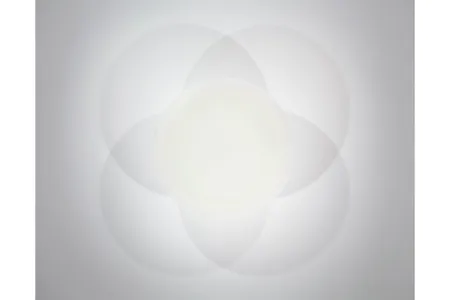 Untitled by Robert Irwin, 1963-65