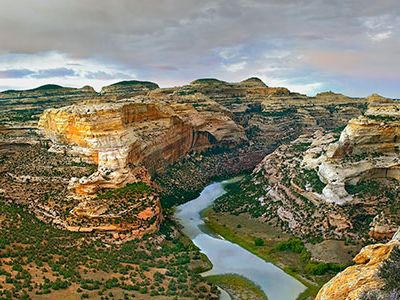 Actual dinosaurs were discovered at Dinosaur National Monument a century ago. Starting in 1909, fossil hound Earl Douglass found fantastic remains of gigantic dinosaurs.