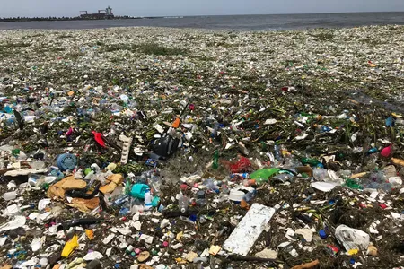 The "dense garbage carpet" that is washing onto Montesinos Beach in Santo Domingo