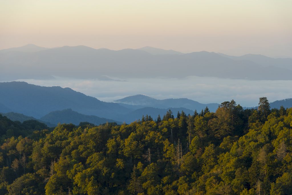 scenic view of mountains and forests