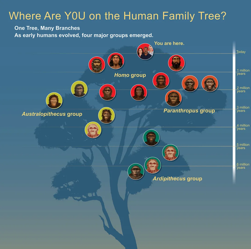 Largest Human Family Tree Identifies Nearly 27 Million Ancestors