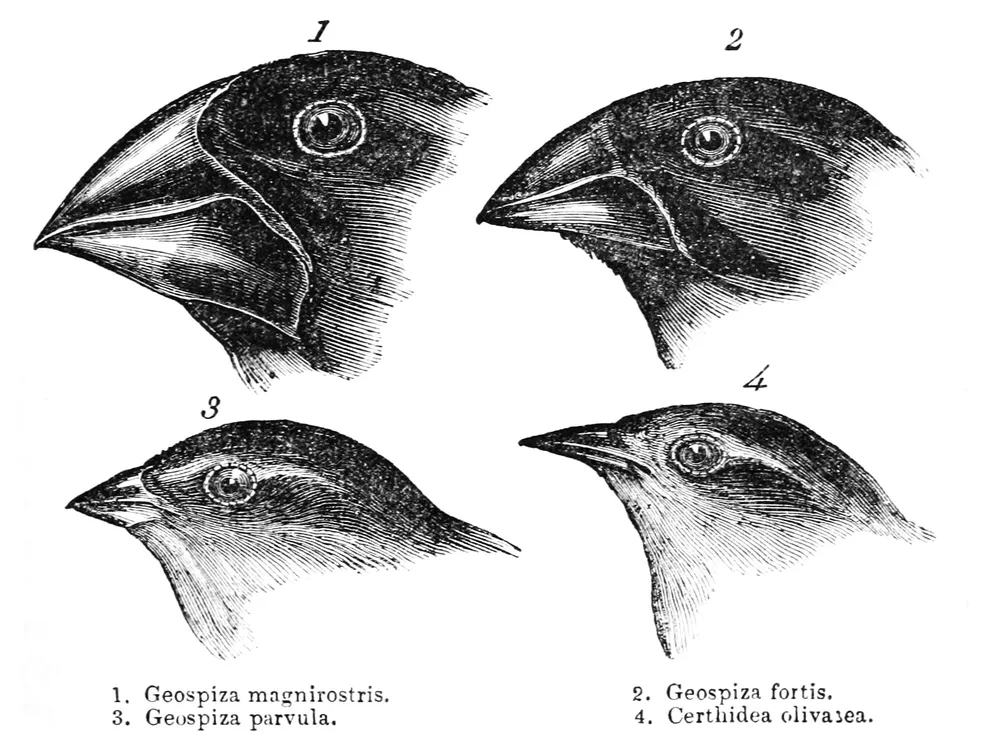 What Does It Mean to Be a Species? Genetics Is Changing the Answer