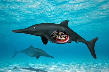 Illustration of pregnant ichthyosaur with octuplets.