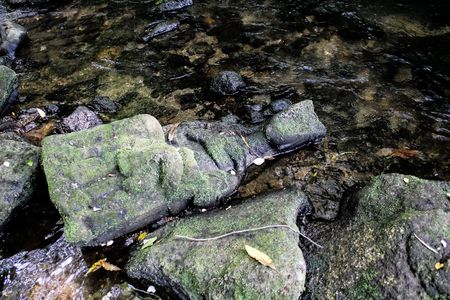 A fisherman happened upon a statue depicting the Virgin Mary and child in a river near Santiago de Compostela, Spain. 