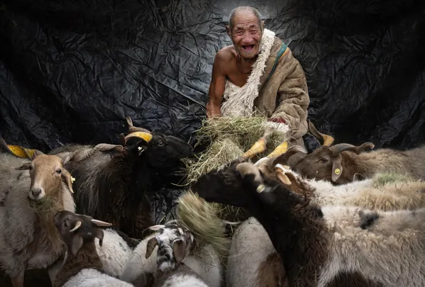 The Old Man and His Sheep thumbnail