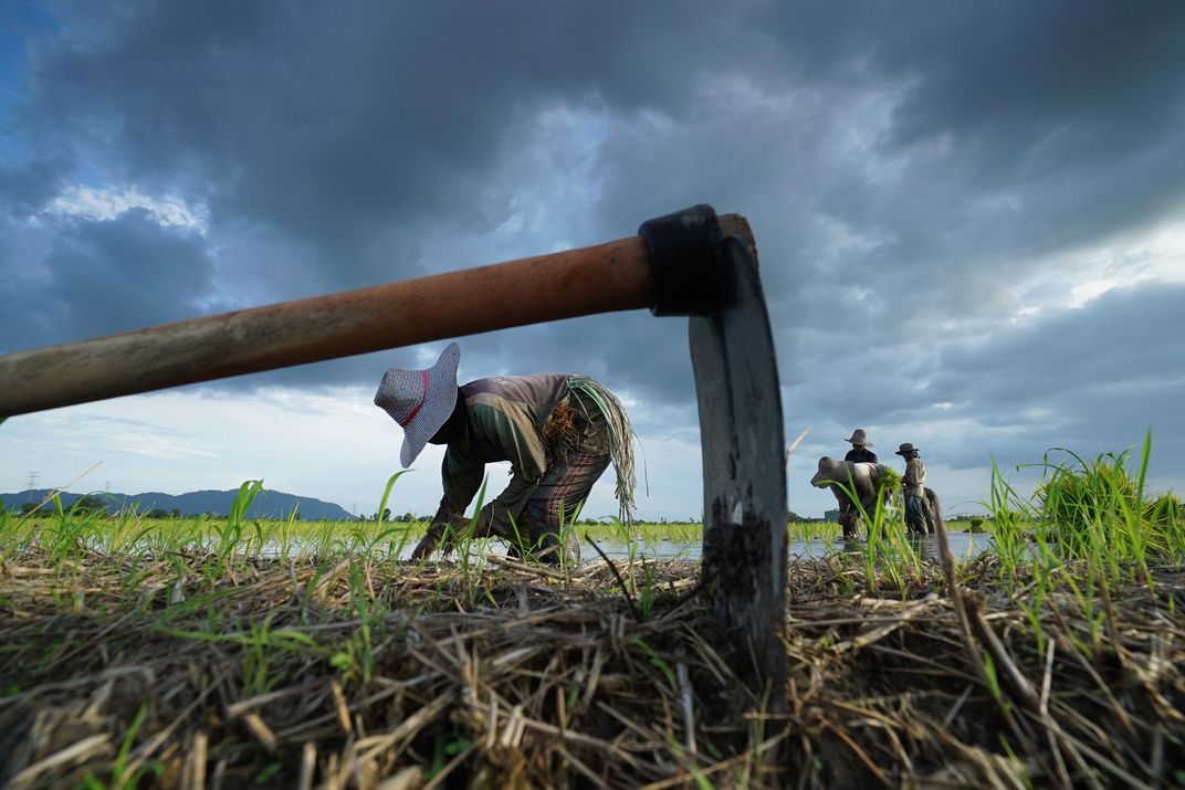 Farmers Smithsonian Photo Contest Smithsonian Magazine