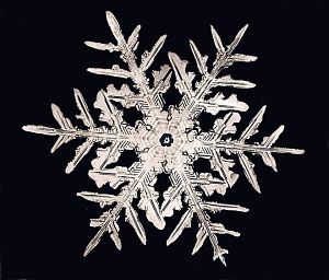 Dendrite Star snowflake