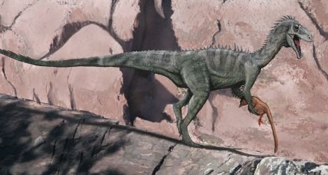 A speculative restoration of Australia's Cretaceous ceratosaur