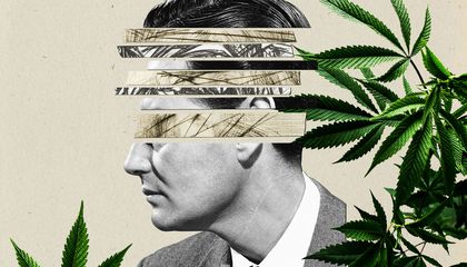 Inside the Quest to Understand the Link Between Cannabis and Schizophrenia