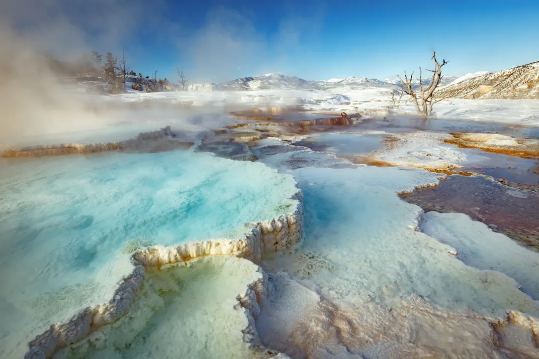 Steamy terraces of Mammoth Hot Springs
