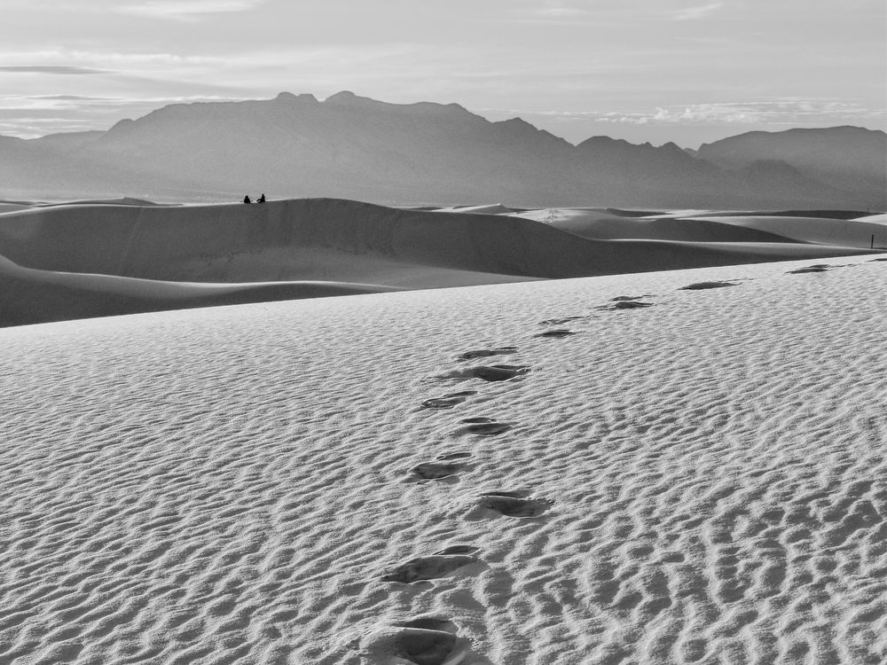 A Picnic in the Dunes | Smithsonian Photo Contest | Smithsonian Magazine