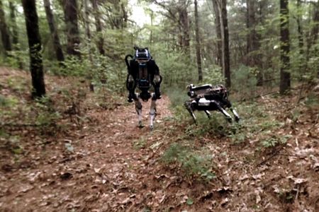 A stroll in the woods with ATLAS and Spot.
