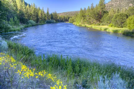 The Upper Klamath River is also part of restoration work. The salmon&#39;s return inspires biologists to continue their efforts in the upper basin.