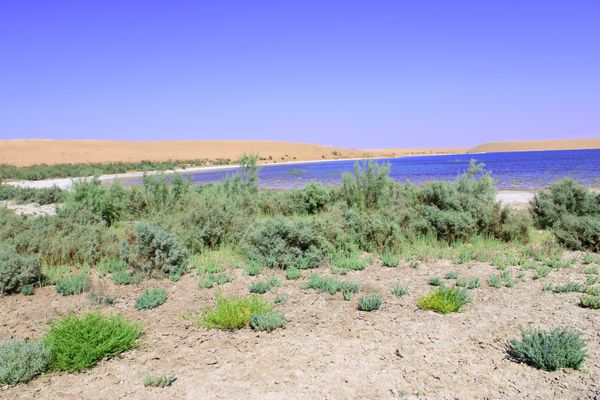 Lake in the steppe thumbnail