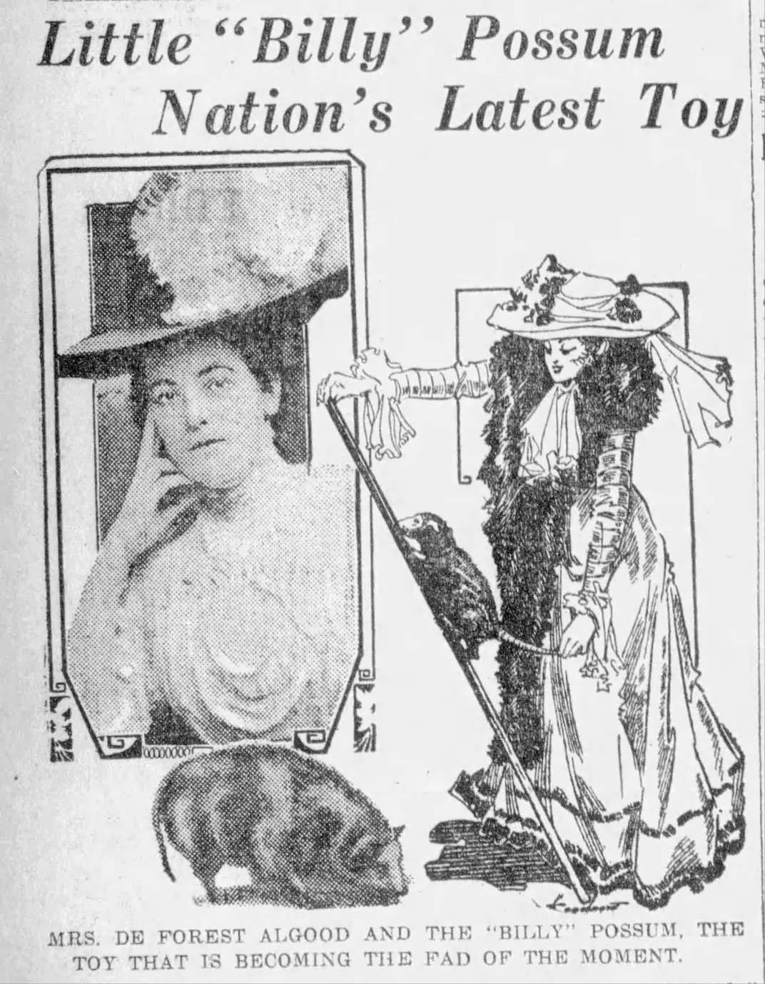 A 1909 newspaper article about Allgood and Billy Possum