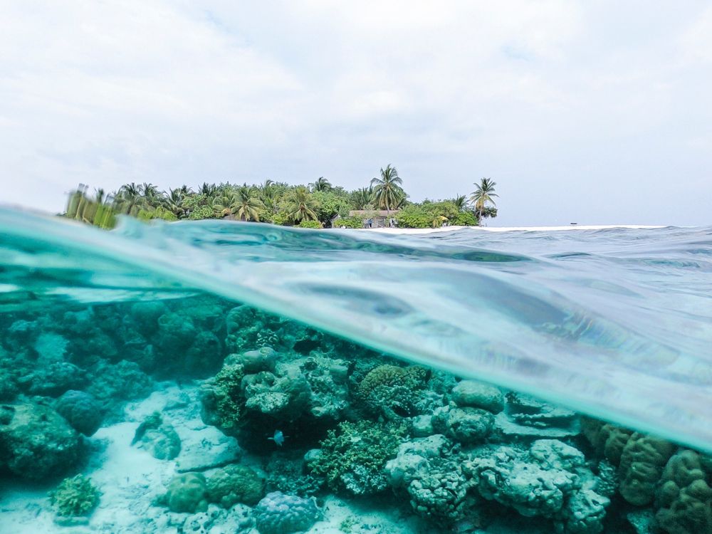 A view of an island with a wave revealing a coral reef underwater. Photo courtesy of Ishan on Unsplash.