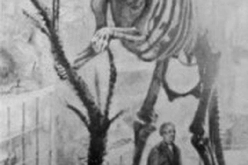 20110520083155Hadrosaurus_foulkii-173x300.jpg