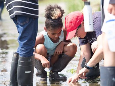 A survey of nearly 1,000 environmental education and outdoor science schools that serve primarily K-12 learners shows that 63 percent of such organizations are uncertain whether they will ever open their doors again, if pandemic restrictions last until year’s end.