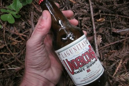 This very bottle of beer lies in a shallow grave of redwood duff in Humboldt Redwoods State Park, in northern California. Can you find it?