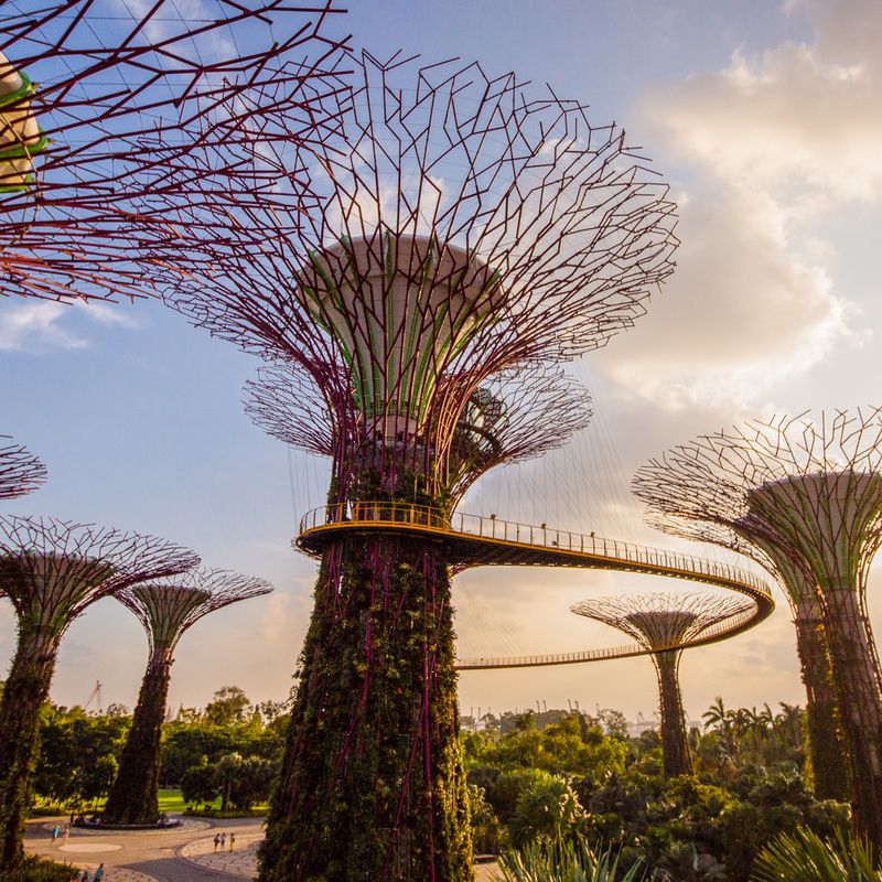 Discover the Multicultural Melting Pot of Singapore Up Close
