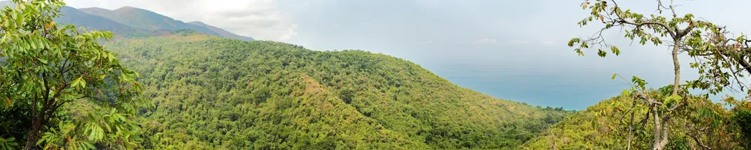 The dense forest of Gombe National Park rises above Lake Tanganyika.