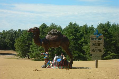 Camel statues mark the Desert of Maine, which is actually not a true desert.