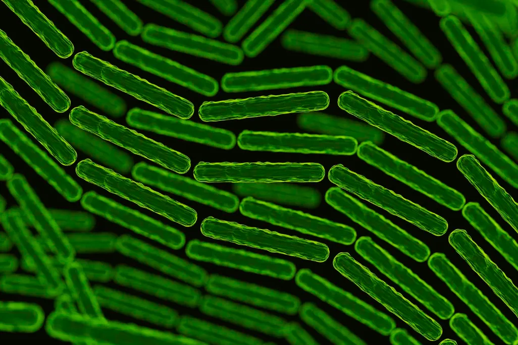 an artistic representation of green microorganisms