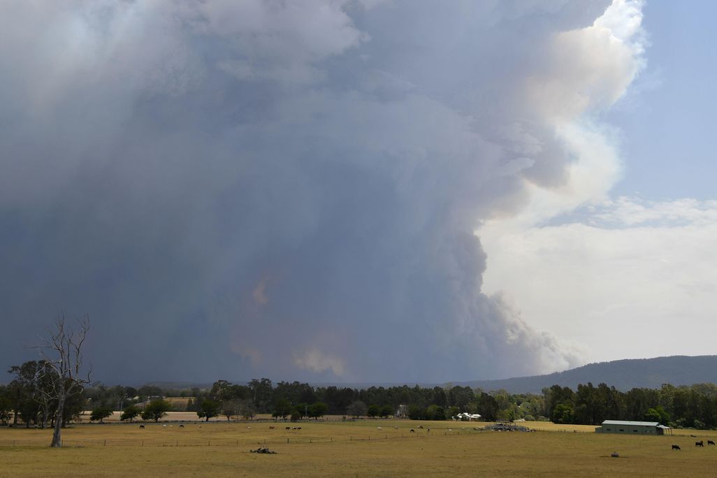 Smoke rising over field near ton of Nowra in New South Wales, Australia