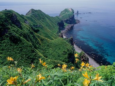 The lush, rugged landscape of Japan's island of Hokkaido is a major draw for amateur photographers—but do Flickr photos really represent the most important conservation sites?